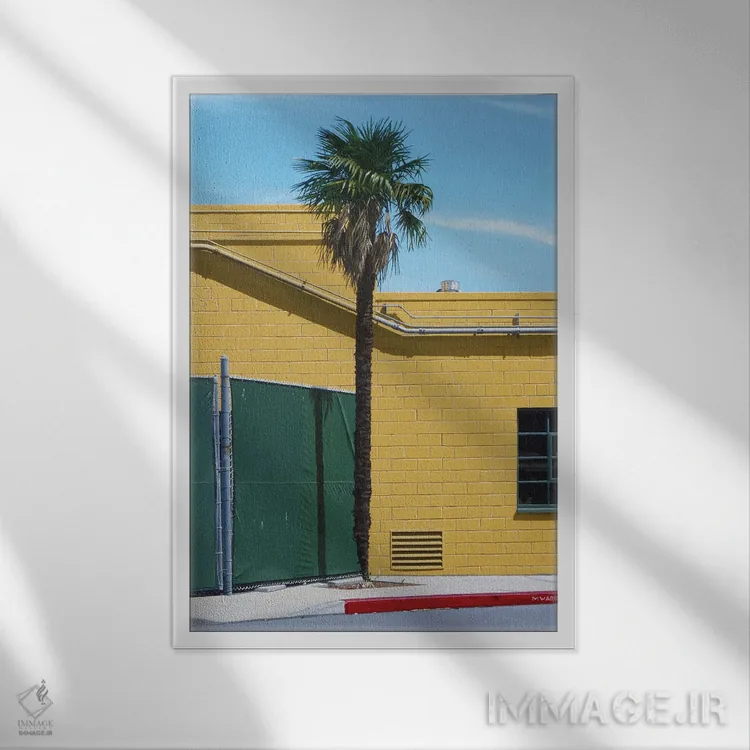 تابلو دکوراتیو تراشیکارپوس فورچونی اثر مایکل وارد - نمای قابدار سفید