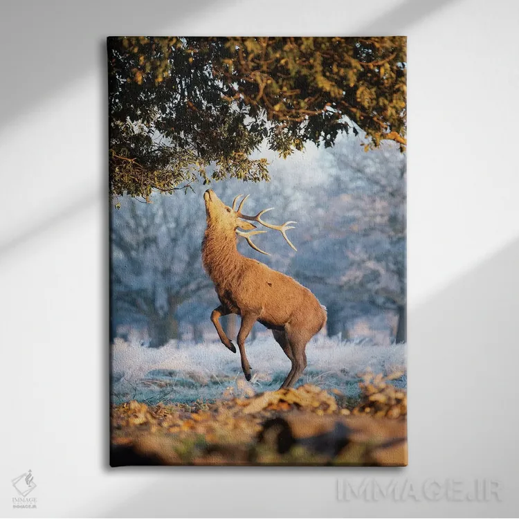 تابلو دکوراتیو آبی و نارنجی اثر مکس الیس - نمای روبهرو روی دیوار