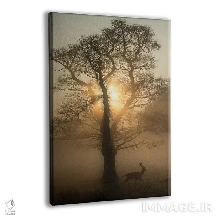 تابلو دکوراتیو درخت سپیده دم اثر مکس الیس - نمای پرسپکتیو محصول