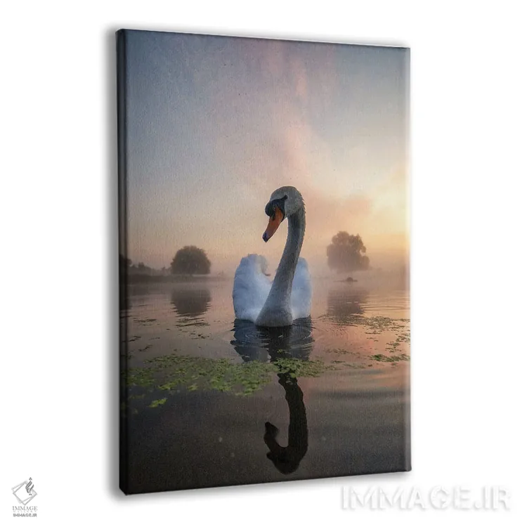 تابلو دکوراتیو قوی مه آلود زیر خورشید اثر مکس الیس - نمای پرسپکتیو محصول