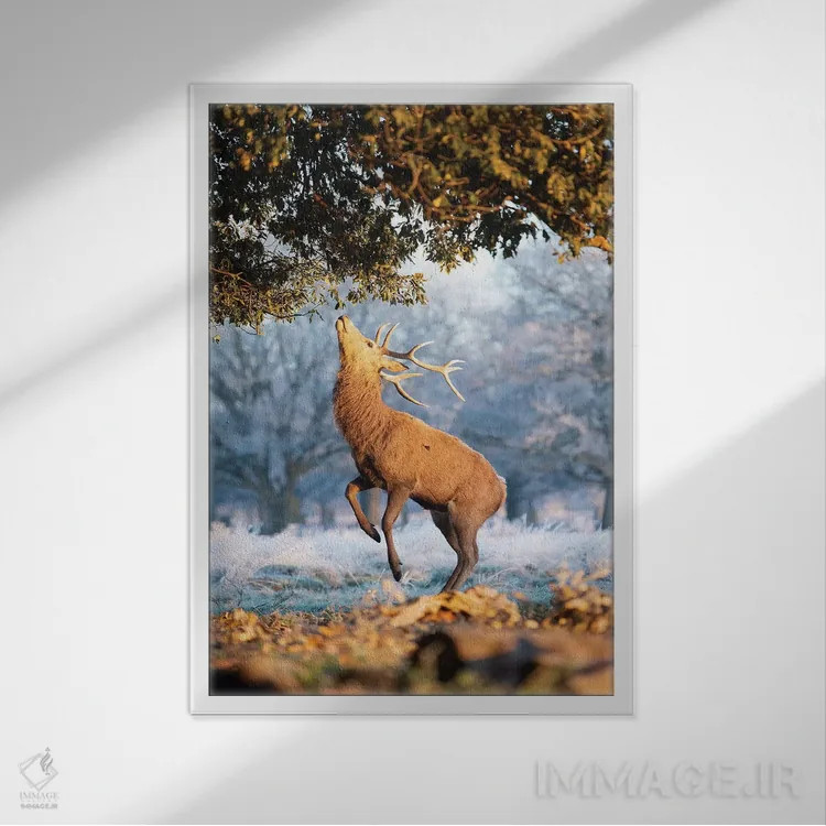 تابلو دکوراتیو آبی و نارنجی اثر مکس الیس - نمای قابدار سفید