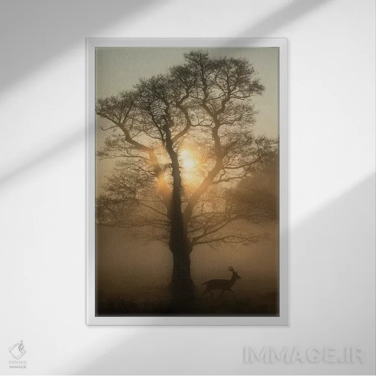 تابلو دکوراتیو درخت سپیده دم اثر مکس الیس - نمای قابدار سفید