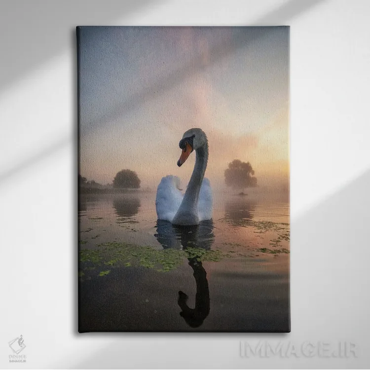 تابلو دکوراتیو قوی مه آلود زیر خورشید اثر مکس الیس - نمای روبهرو روی دیوار