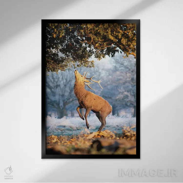 تابلو دکوراتیو آبی و نارنجی اثر مکس الیس - نمای قابدار مشکی