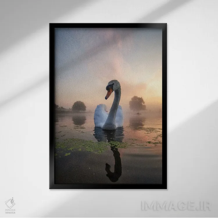 تابلو دکوراتیو قوی مه آلود زیر خورشید اثر مکس الیس - نمای قابدار مشکی