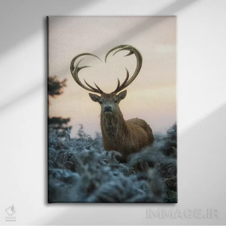 تابلو دکوراتیو شاخ های قلبی شکل شماره ۱ اثر مکس الیس - نمای روبهرو روی دیوار