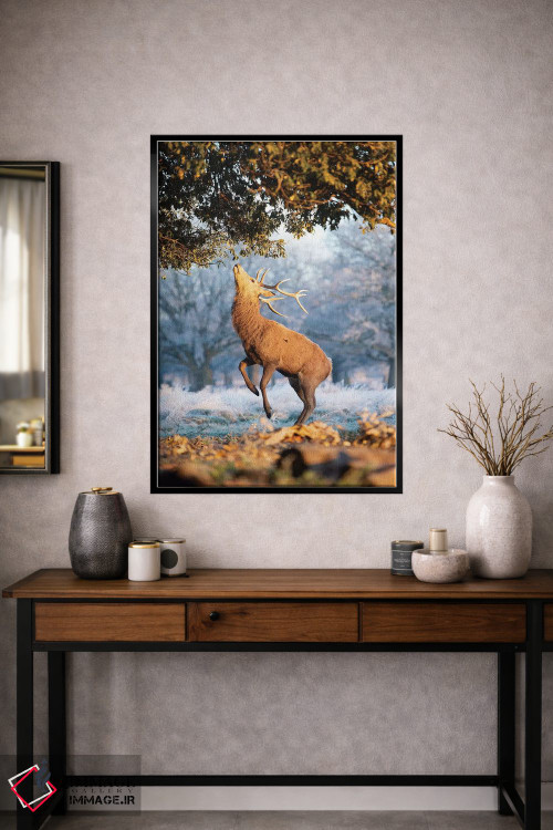 تابلو دکوراتیو آبی و نارنجی اثر مکس الیس - D1B