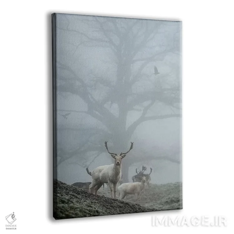 تابلو دکوراتیو مه آلودترین اثر مکس الیس - نمای پرسپکتیو محصول