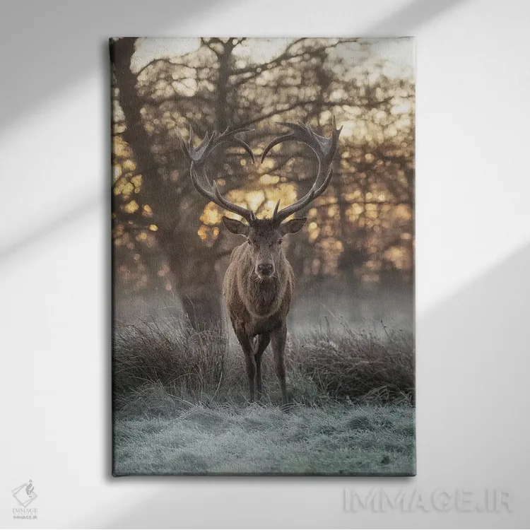 تابلو دکوراتیو شاخ های قلبی شکل شماره ۲ اثر مکس الیس - نمای روبهرو روی دیوار