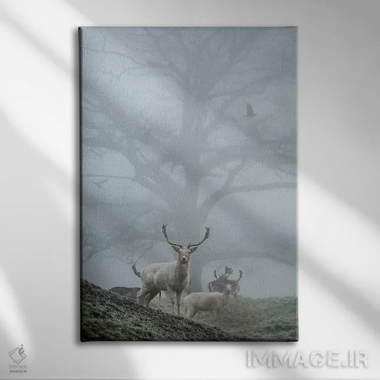 تابلو دکوراتیو مه آلودترین اثر مکس الیس - نمای روبهرو روی دیوار