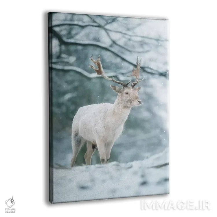 تابلو دکوراتیو سفید برفی اثر مکس الیس - نمای پرسپکتیو محصول