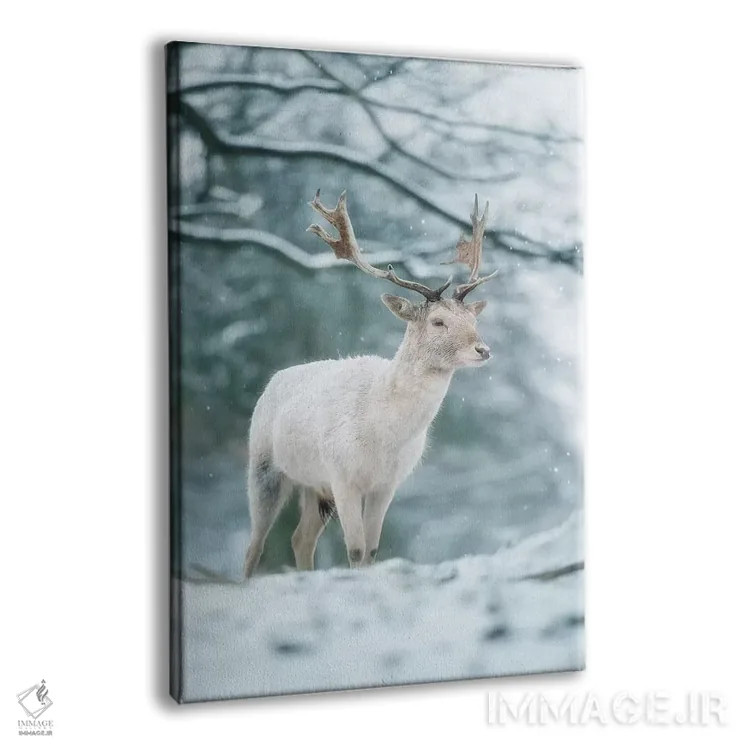 تابلو دکوراتیو سفید برفی اثر مکس الیس - نمای پرسپکتیو محصول