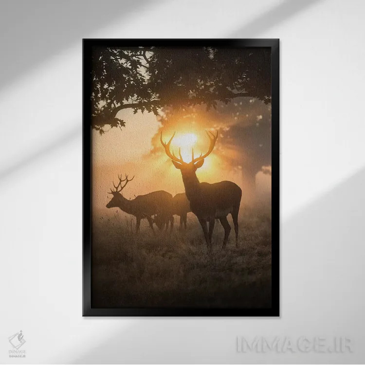 تابلو دکوراتیو جادوی مه آلود اثر مکس الیس - نمای قابدار مشکی