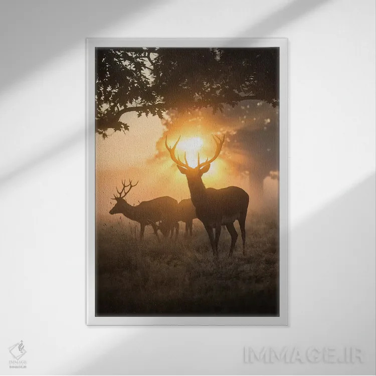 تابلو دکوراتیو جادوی مه آلود اثر مکس الیس - نمای قابدار سفید