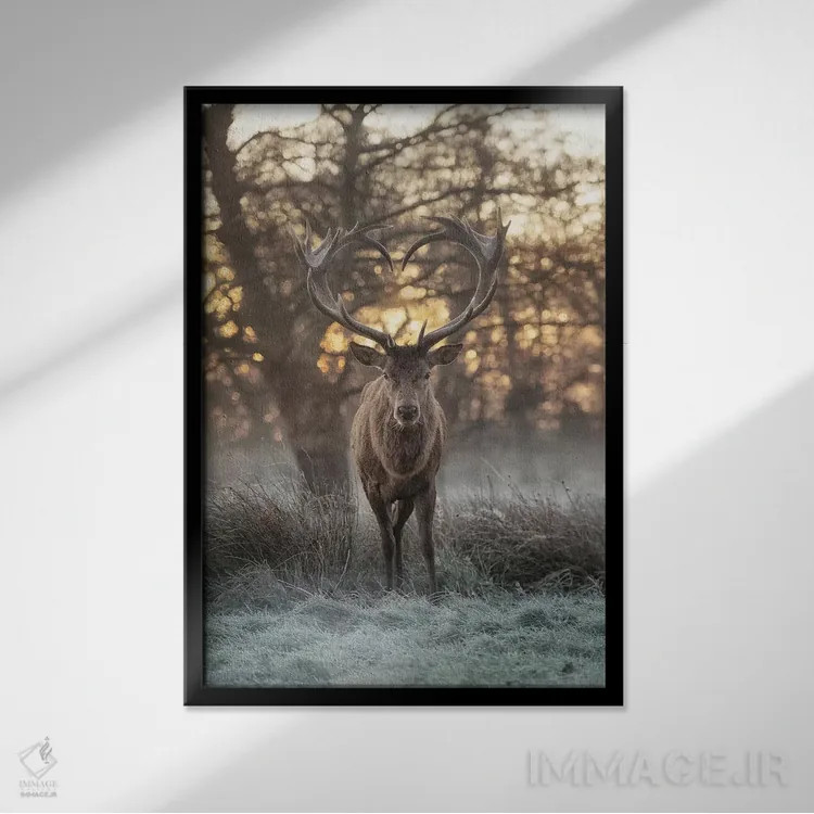 تابلو دکوراتیو شاخ های قلبی شکل شماره ۲ اثر مکس الیس - نمای قابدار مشکی