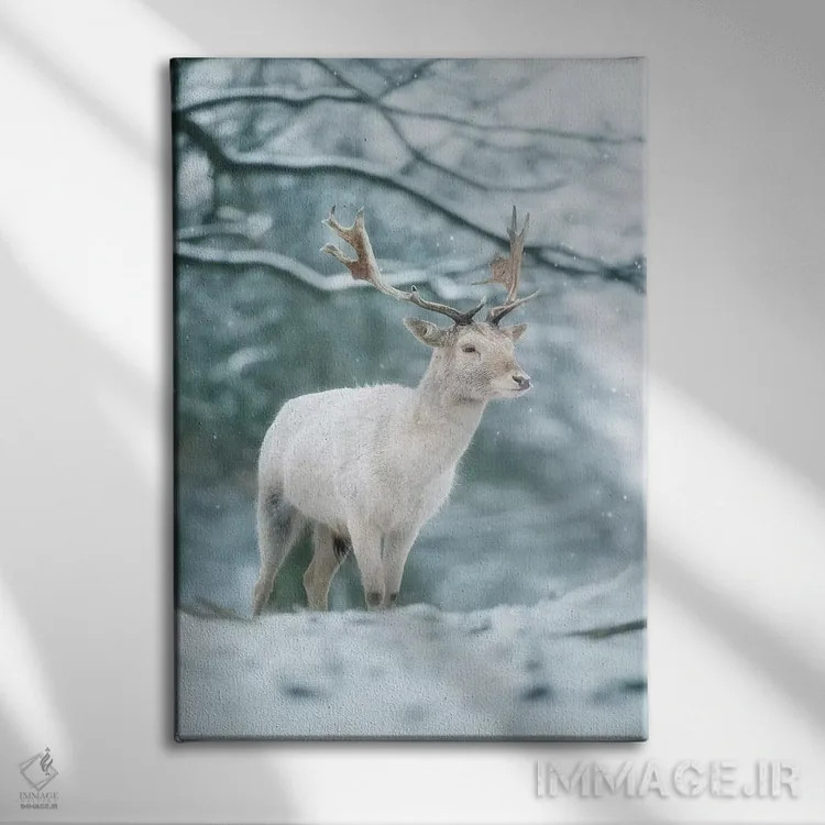 تابلو دکوراتیو سفید برفی اثر مکس الیس - نمای روبهرو روی دیوار