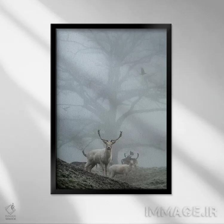 تابلو دکوراتیو مه آلودترین اثر مکس الیس - نمای قابدار مشکی