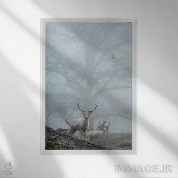 تابلو دکوراتیو مه آلودترین اثر مکس الیس - نمای قابدار سفید