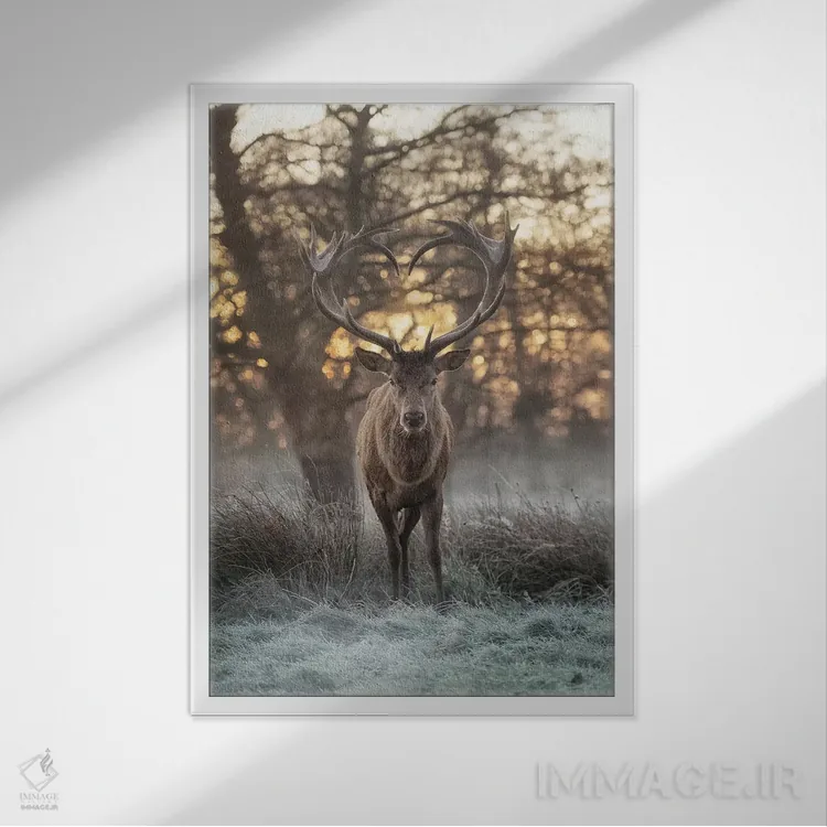 تابلو دکوراتیو شاخ های قلبی شکل شماره ۲ اثر مکس الیس - نمای قابدار سفید