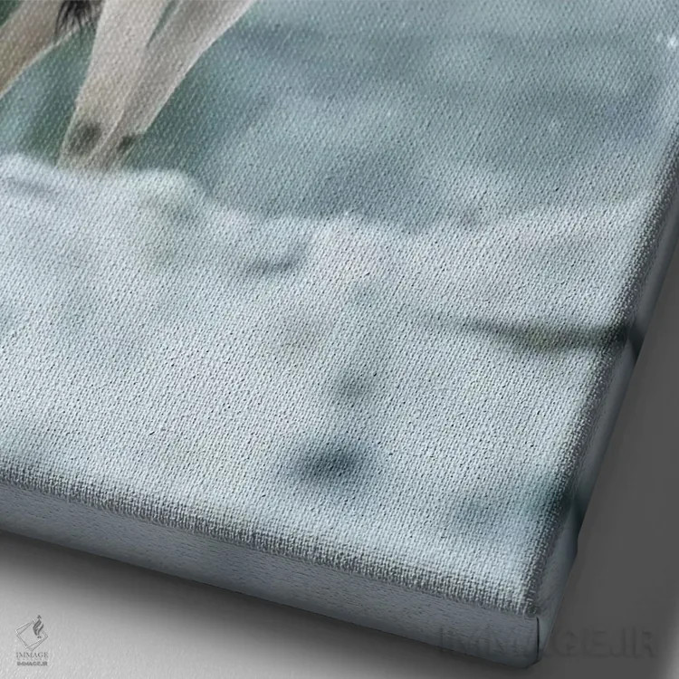 تابلو دکوراتیو سفید برفی اثر مکس الیس - نمای نزدیک بافت بوم