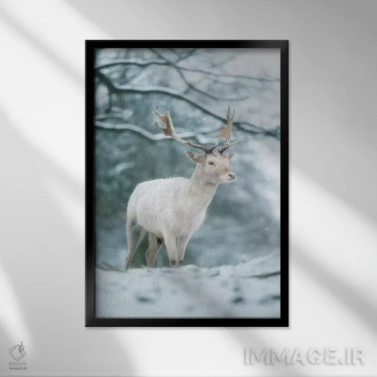 تابلو دکوراتیو سفید برفی اثر مکس الیس - نمای قابدار مشکی