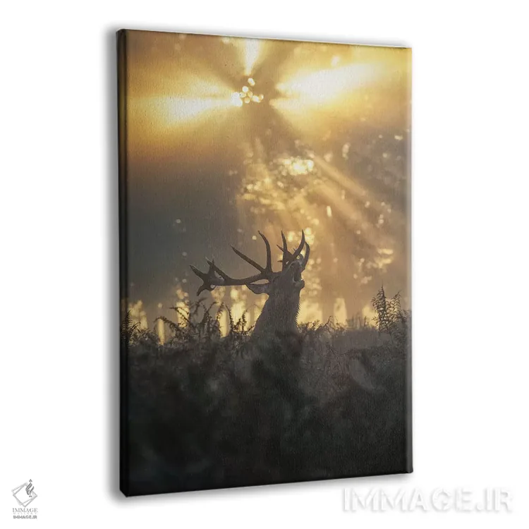 تابلو دکوراتیو گوزن بارانی شماره ۲ اثر مکس الیس - نمای پرسپکتیو محصول