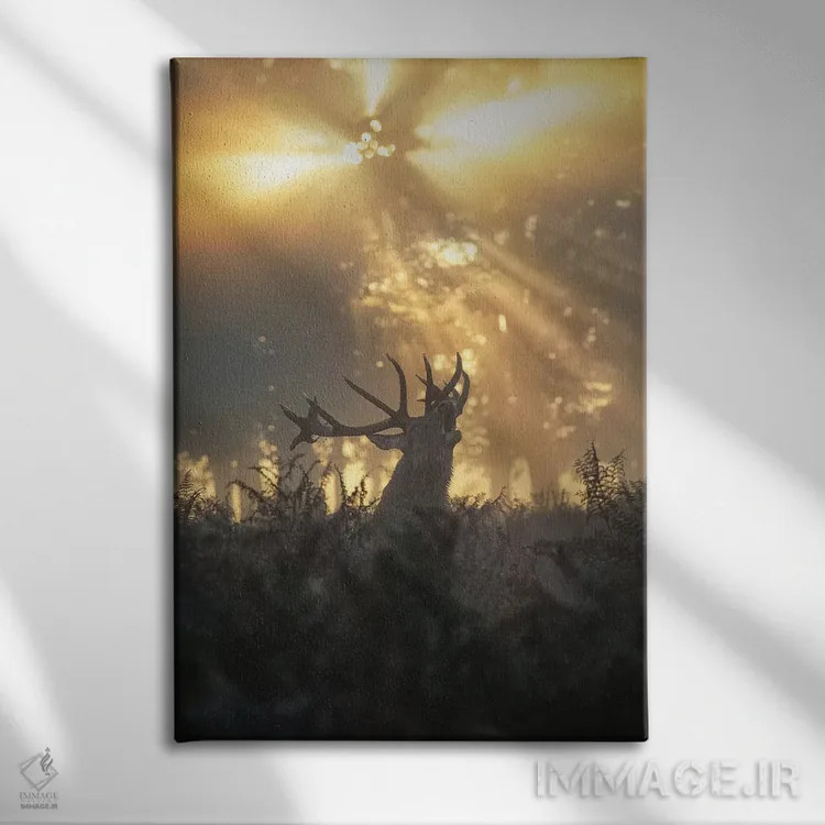 تابلو دکوراتیو گوزن بارانی شماره ۲ اثر مکس الیس - نمای روبهرو روی دیوار