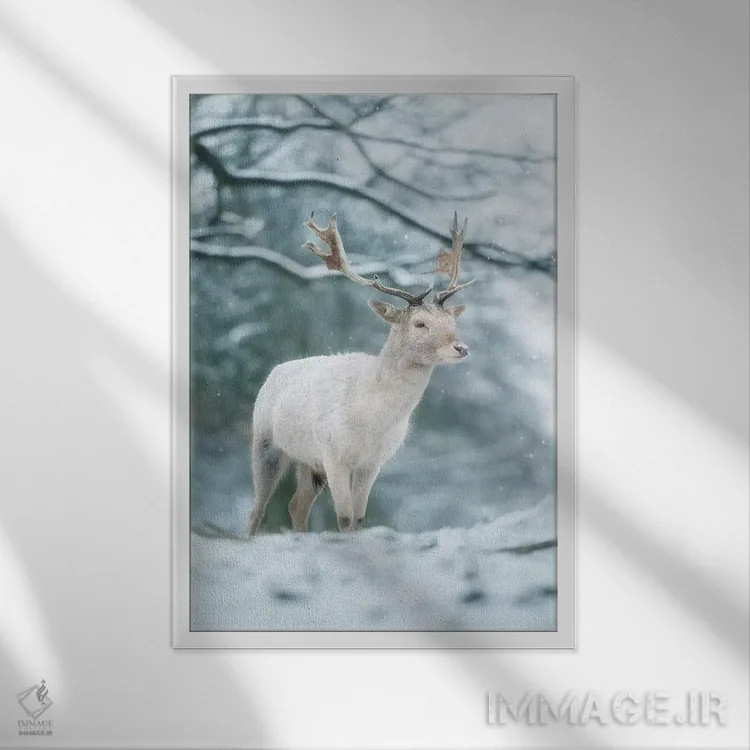 تابلو دکوراتیو سفید برفی اثر مکس الیس - نمای قابدار سفید