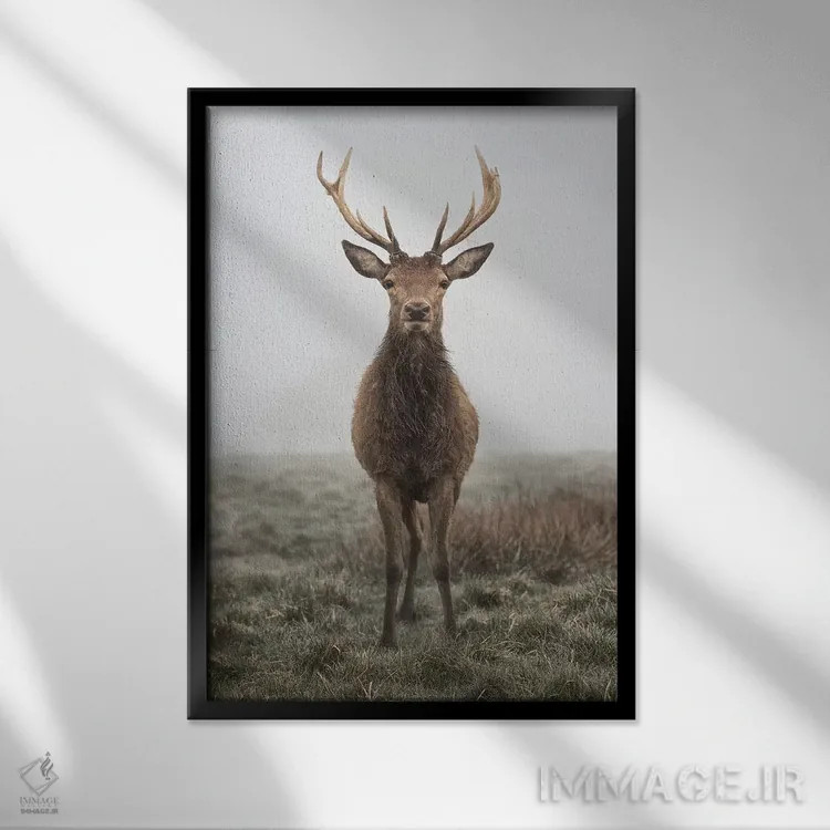 تابلو دکوراتیو مجسمه مانند اثر مکس الیس - نمای قابدار مشکی