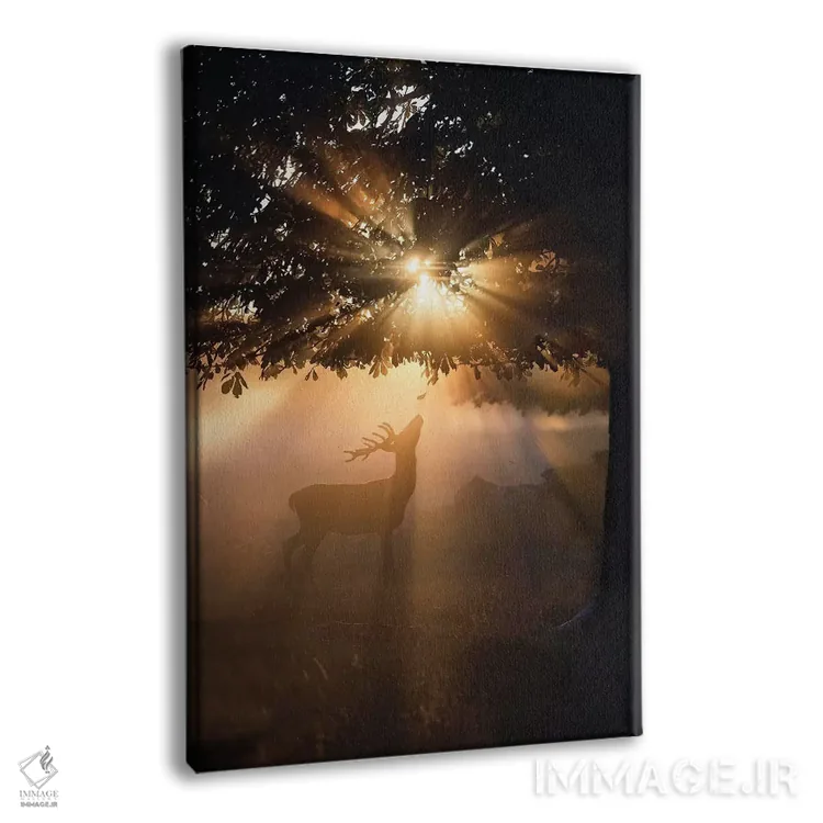 تابلو دکوراتیو گوزن بارانی شماره ۴ اثر مکس الیس - نمای پرسپکتیو محصول