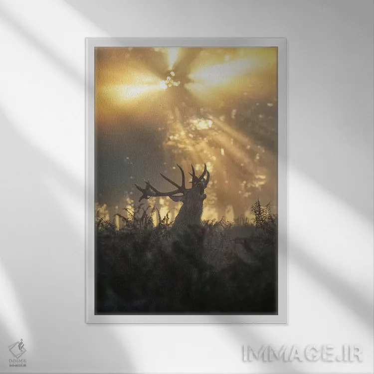 تابلو دکوراتیو گوزن بارانی شماره ۲ اثر مکس الیس - نمای قابدار سفید