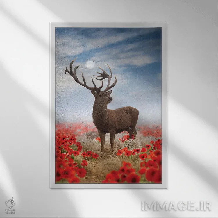 تابلو دکوراتیو گوزن شقایق اثر مکس الیس - نمای قابدار سفید