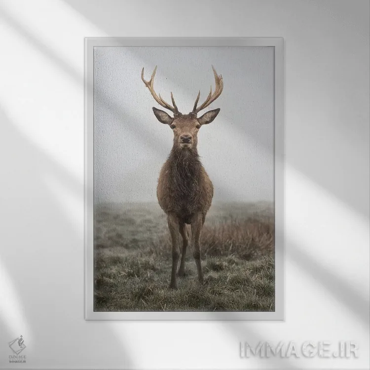 تابلو دکوراتیو مجسمه مانند اثر مکس الیس - نمای قابدار سفید