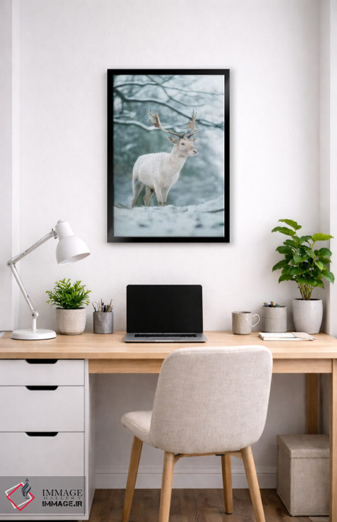 تابلو دکوراتیو سفید برفی اثر مکس الیس - D2B