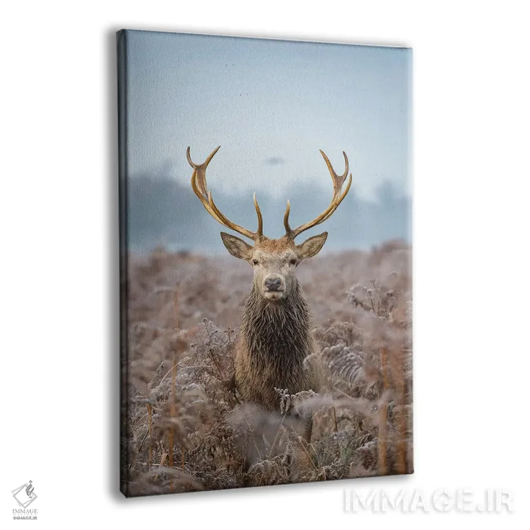 تابلو دکوراتیو سر جلویی کشتی اثر مکس الیس - نمای پرسپکتیو محصول