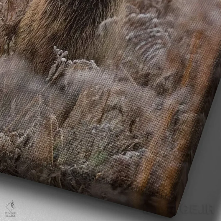 تابلو دکوراتیو سر جلویی کشتی اثر مکس الیس - نمای نزدیک بافت بوم