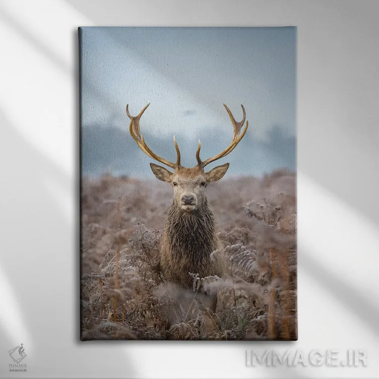 تابلو دکوراتیو سر جلویی کشتی اثر مکس الیس - نمای روبهرو روی دیوار