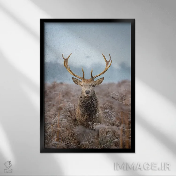 تابلو دکوراتیو سر جلویی کشتی اثر مکس الیس - نمای قابدار مشکی