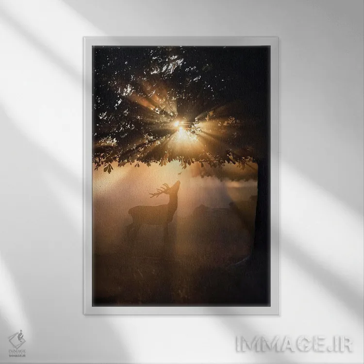 تابلو دکوراتیو گوزن بارانی شماره ۴ اثر مکس الیس - نمای قابدار سفید