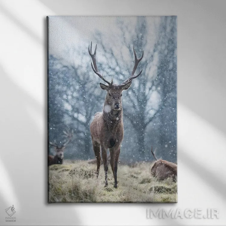 تابلو دکوراتیو شگفتی برف دانه اثر مکس الیس - نمای روبهرو روی دیوار