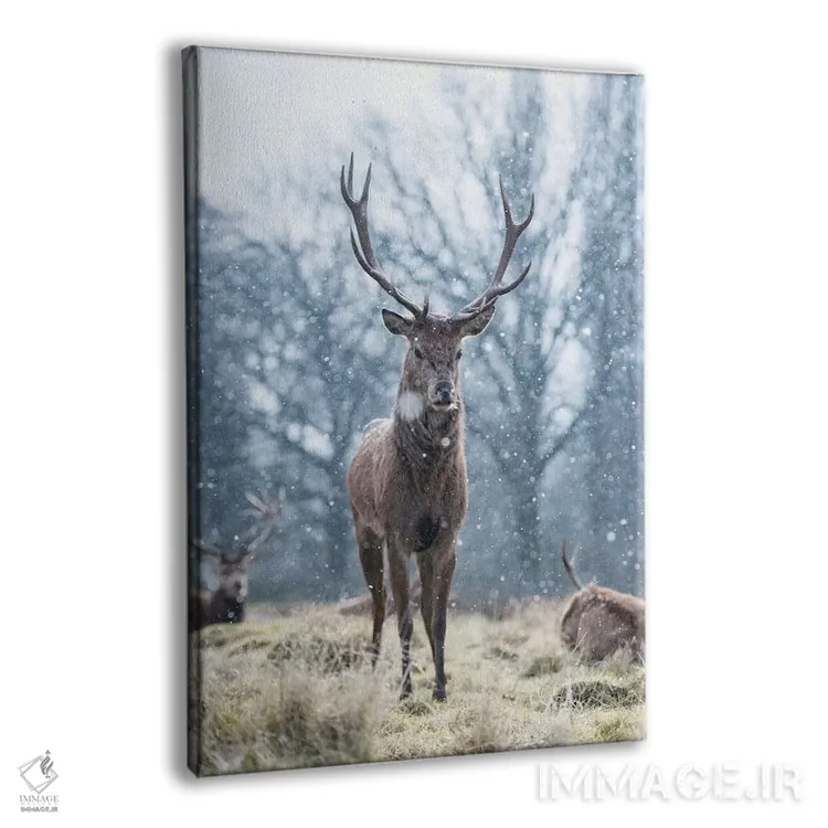 تابلو دکوراتیو شگفتی برف دانه اثر مکس الیس - نمای پرسپکتیو محصول