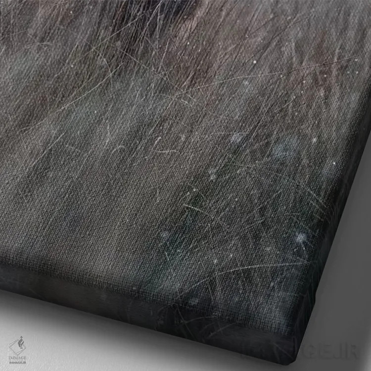 تابلو دکوراتیو برف دانه روی زبانت اثر مکس الیس - نمای نزدیک بافت بوم