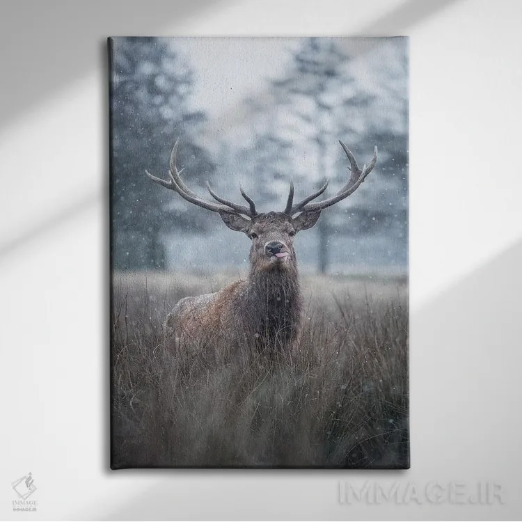 تابلو دکوراتیو برف دانه روی زبانت اثر مکس الیس - نمای روبهرو روی دیوار