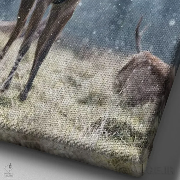 تابلو دکوراتیو شگفتی برف دانه اثر مکس الیس - نمای نزدیک بافت بوم