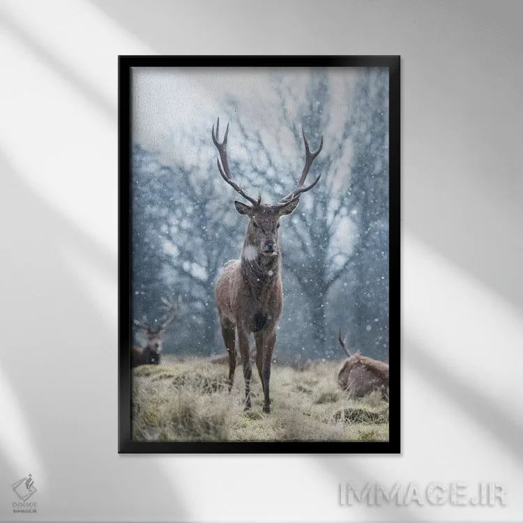 تابلو دکوراتیو شگفتی برف دانه اثر مکس الیس - نمای قابدار مشکی