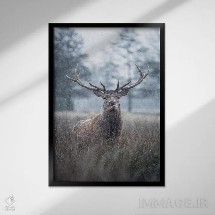 تابلو دکوراتیو برف دانه روی زبانت اثر مکس الیس - نمای قابدار مشکی