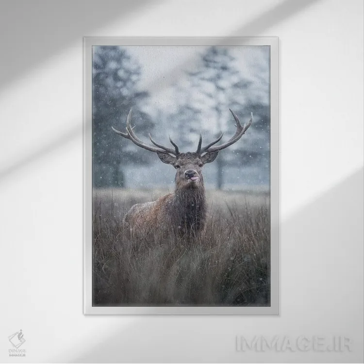 تابلو دکوراتیو برف دانه روی زبانت اثر مکس الیس - نمای قابدار سفید