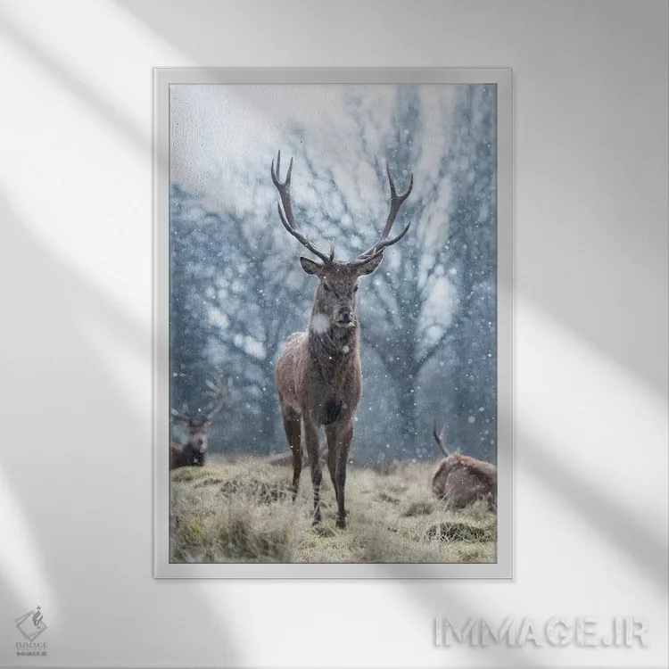 تابلو دکوراتیو شگفتی برف دانه اثر مکس الیس - نمای قابدار سفید