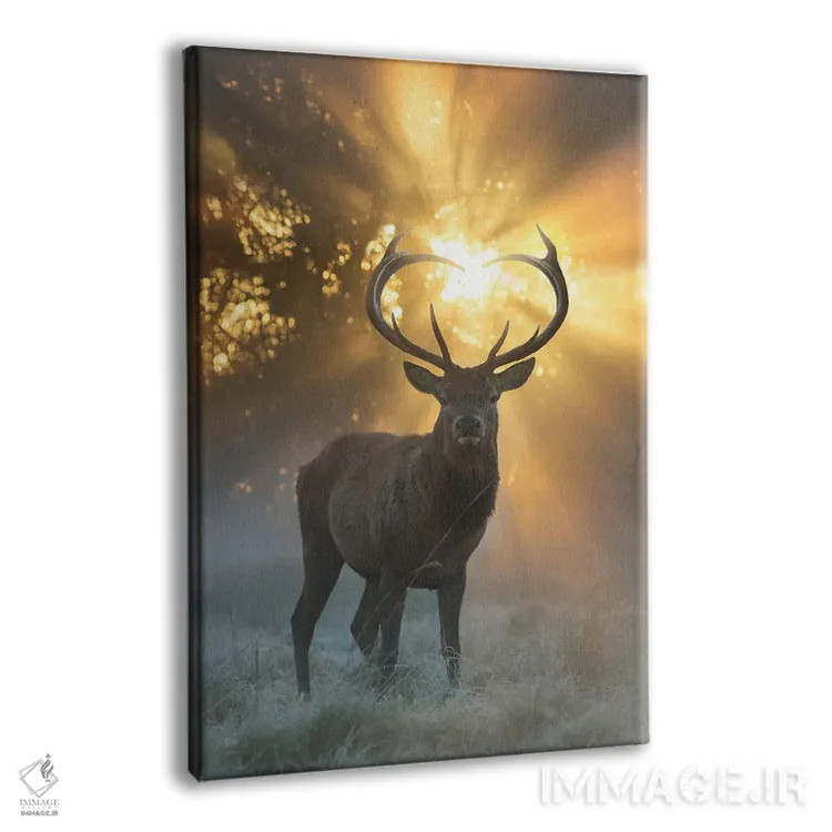 تابلو دکوراتیو درخشش شاخ های قلبی شکل اثر مکس الیس - نمای پرسپکتیو محصول