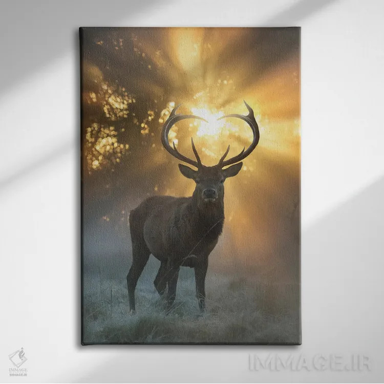 تابلو دکوراتیو درخشش شاخ های قلبی شکل اثر مکس الیس - نمای روبهرو روی دیوار